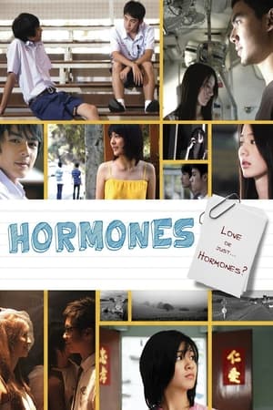 Poster Hormones 2008