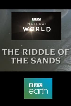 Image The Riddle of the Sands