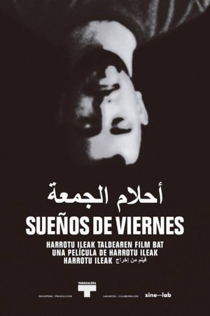 Póster oficial de la película Friday Dreams