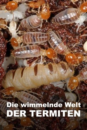 Poster The World According to Termites (2018)