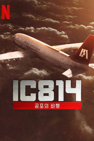 Image IC 814: 공포의 비행