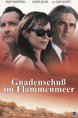 Image Gnadenschuß im Flammenmeer