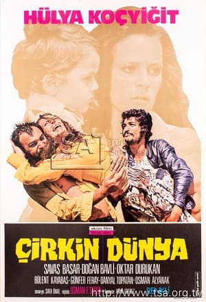 Poster Last House in Istanbul (1974)