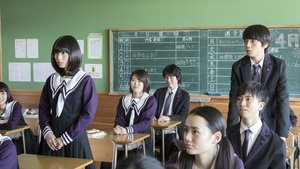 IS Live Action (2018) EP.1-13 (จบ)