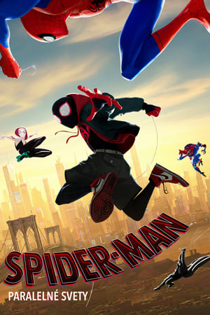 Poster Spider-man: Paralelné svety 2018