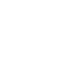Red Rocket — Logos 8