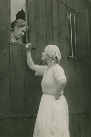 Poster Hemslavinnor 1923