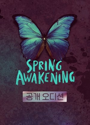 Image Spring Awakening the Musical in Korea
