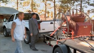 American Restoration Surfing the Strip