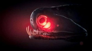 Monsters of the Deep
