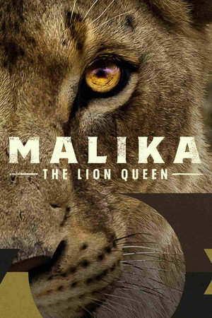 Image Malika: Az oroszlánkirálynő