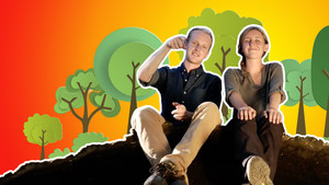series image