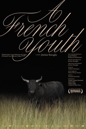 Poster A French Youth (2024)