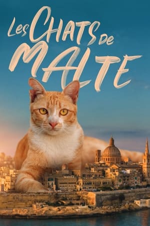 Image Les chats de Malte