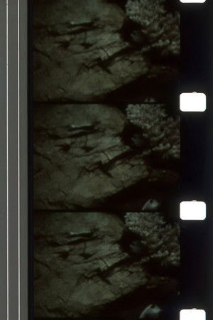 Whispers Delaying Grace