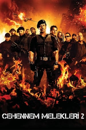 The Expendables 2