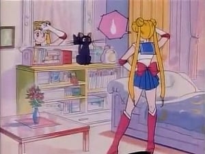 Sailor Moon Usagi and the Girls' Resolve: Prelude to a New Battle