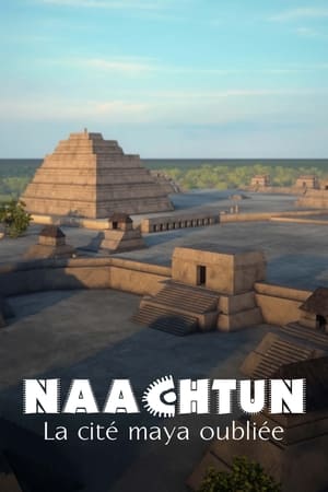 Poster Naachtun - The Forgotten Mayan City 2016