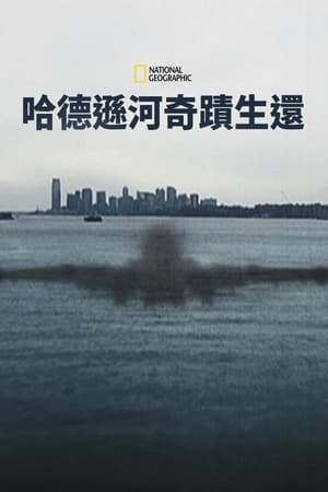 Poster 奇迹迫降哈德逊河 2014