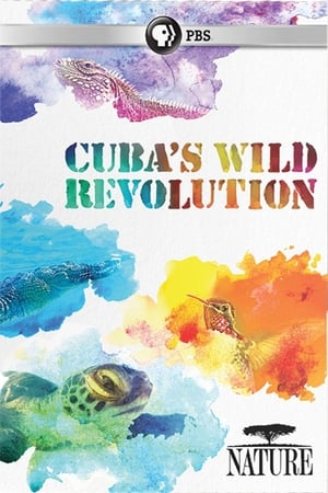 Poster Cuba's Wild Revolution (2019)