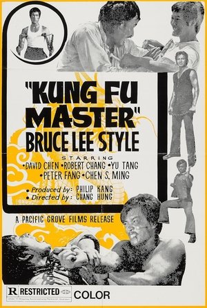 Kung Fu Master - Bruce Lee Style