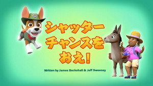 シャッターチャンスをおえ！