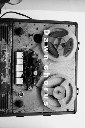 Dawn Chorus (1970)