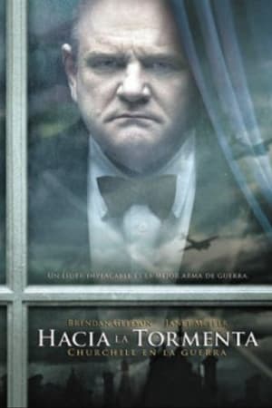 Poster Durante la tormenta 2009