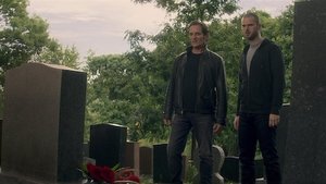 Bad Blood: Stagione 2 x Episodio 8