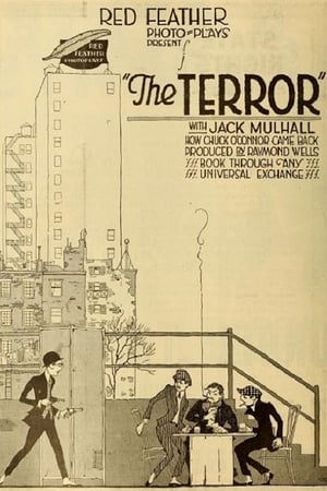 Poster The Terror (1917)