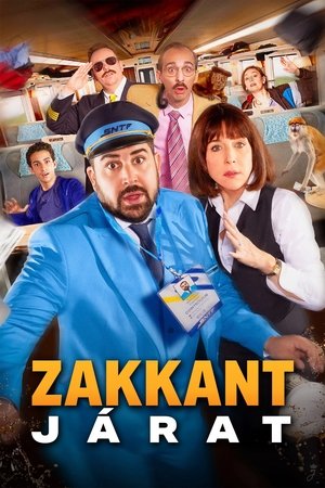Image Zakkant járat