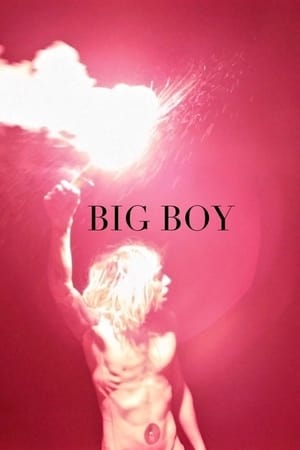 Poster Big Boy (2015)