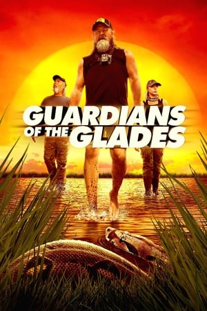 Image Guardians of the Glades