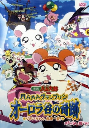 Image Hamtaro: Miracle in Aurora Valley