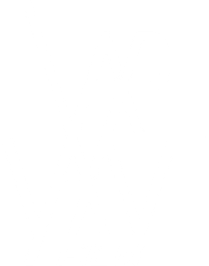 Logo Varyant Film