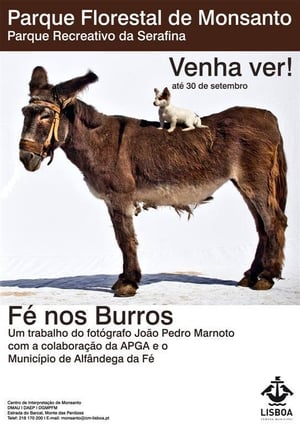 Poster Fé nos Burros (2012)