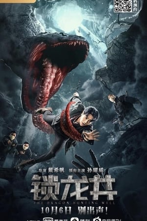Poster The Dragon Hunting Well 2020