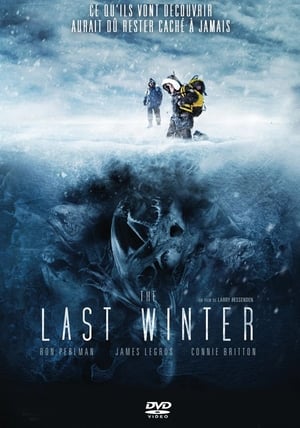 Poster The Last Winter 2006