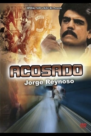 Poster Acosado (1991)
