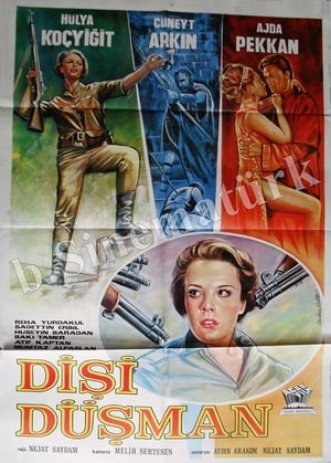 Dişi Düşman poster