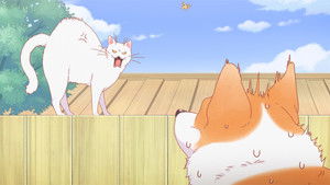 The Corgi and the Samurai: 1×7