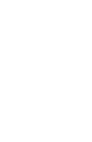 40 y 20 — Logos 2