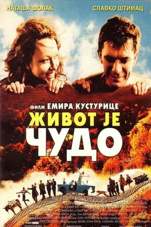 Poster 生命是个奇迹 2004