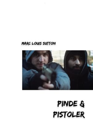 Image Pinde & Pistoler
