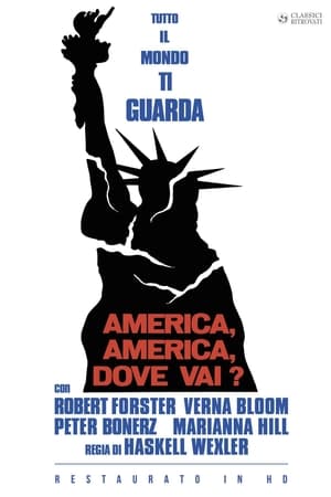 Poster di America, America, dove vai?