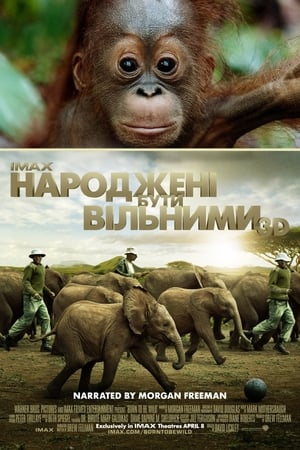 Народжені бути вільними (2011)