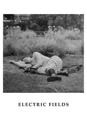 Poster Electric Fields (2024)