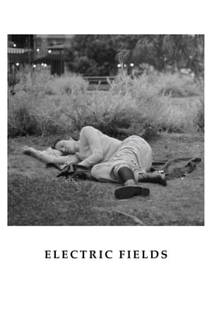 Poster Electric Fields 2024