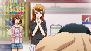 Grand Blue Season 1 Episode 2
