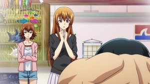 Grand Blue Episodio 2